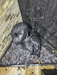 2 large bags of waste 2 large bin bags of domestic waste. N4 - removed for £47