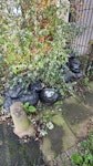 14 bags mixed waste & offcuts mixed waste incl plastic panel offcuts. please also clear and empty panels and rubbish bags in all the bins as well. many thanks B67 - removed for £143