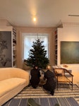 Christmas tree Under 12ft christmas tree SW3 - removed for £57