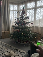 Remove six foot tree collected by Clear Away Junk