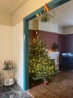 6ft christmas tree collected by JunkMove