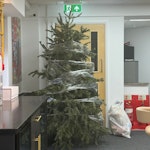 Real christmas tree 7-8ft CM12 - removed for £57