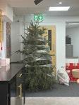 Real christmas tree 7-8ft CM12 - removed for £57