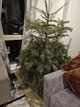 Dispose Christmas tree HA1 - removed for £43