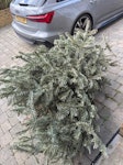 Christmas tree KT10 - removed for £29