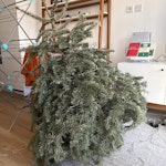 Christmas tree SE1 - removed for £71