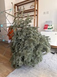 Christmas tree SE1 - removed for £71
