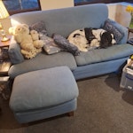 Sofa and footstool (no dog!) Two seater sofa and footstool BN3 - removed for £86