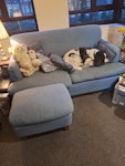 Sofa and footstool (no dog!) Two seater sofa and footstool BN3 - removed for £86