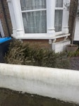 Xmas Tree just need the tree taken away NW10 - removed for £29