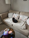 sofa 2 seater sofa 
needs collection asap NG15 - removed for £78