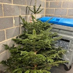 Christmas Tree Easy access storage bin room on the main road. Also can provide access pin for door SE16 - removed for £21