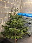 Christmas Tree Easy access storage bin room on the main road. Also can provide access pin for door SE16 - removed for £21