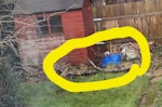 Garden waste I have collected cut grass, garden waste (tree leaves) and a fallen tree (small tree) that need to be removed urgently. Please arrange removal as soon as possible. HA5 - removed for £78