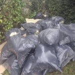 46 BAGS OF EXPANDING FOAM 46 BAGS OF EXPANDING FOAM AND SOME FOAM PANELS THAT ARE ABOUT 5 FOOT LONG M23 - removed for £188