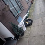 Toilet Pan Wood Skirting Bags WC Pan, Couple Bags Waste & Boards/Skirting Boards - See Photo (NOT THE CHRISTMAS TREE) L22 - removed for £63