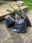 8 bags garden and house trash 4 bags of garden waste and 4 bags of household trash NW6 - removed for £57