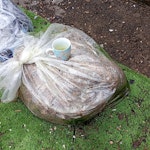 wet carpet wet carpet
wet carpet TF7 - removed for £57