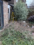 Garden waste including two bra Garden waste from a thorough trim, including two medium dead branches N4 - removed for £177
