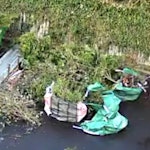 Bulk bags & loose garden waste Large amount of cuttings and green garden waste. Almost all is bagged and ready to load into/onto van. L10 - removed for £257