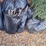 Green waste in bin bags Approx. 8-10 bin bags of green waste MK42 - removed for £53