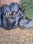 Green waste in bin bags Approx. 8-10 bin bags of green waste MK42 - removed for £53