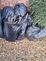 Green waste in bin bags collected by Inter County Service Group LTD