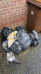 various waste various dirty old bin bags full of various waste that was left to us by previous owners of house before we moved in. ME1 - removed for £57