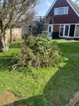 Garden Waste Hedge Clippings and Shrubbery. RH12 - removed for £117