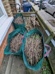 Branches and sticks 3 large garden bags filled with small branches/sticks plus one small pile of bundled thicker branches.
Easy access from the front garden area.
Note: I would like to keep the empty green garden bags after collection. W13 - removed for £71