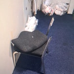 1x chair removal Befred shop 815- 1x chair removal thank you S1 - removed for £40