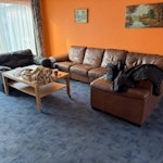 Whole of house clearance. 3 floor townhouse that needs clearing. 3 bed frames, 2 matress, 3 wardrobes. large L-shaped sofa and armchair, 2 fridge, garage assorted stuff, coffee table, dining table, 4 chairs, 3 small side drawers, 2 desks. large sofa bed. large media unit (dismantled). HA9 - removed for £329