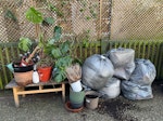 garden waste and 6 bin bags plant pots, tree trunk, coffee table, hoover, 6 bin bags NW1 - removed for £94