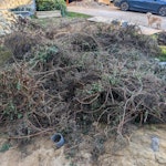 14m of removed hedging & roots Large pile from a 14m hedge and roots that have been dug out. OX2 - removed for £314