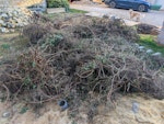 14m of removed hedging & roots Large pile from a 14m hedge and roots that have been dug out. OX2 - removed for £314