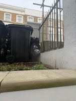 six bags of waste collectb4 11 collected by Waste Collective
