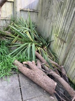 tree and shed collected by Waste Machine