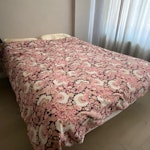 Take apart / collect furniture Table, 6 chairs, bed and sofa need to be taken apart (standard tool kit) and then collected. Mattress stays. SW20 - removed for £130