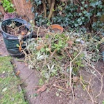 garden waste ready to collect Edited: Garden waste – now ready for collection (cut & sorted)
1 small pile of small wood twigs
1 larger pile of medium wood twigs
1 pile of thicker wood pieces
3 medium piles of green/leafy twigs
1 small pile of green/leafy twigs
2 garden baskets
3 small to medium-sized branches (not yet cut)
All waste has already been cut down and neatly sorted into piles.
Access:
There are a few steps at the front of the house, and access is through the house (via kitchen and conservatory) to the garden. N8 - removed for £214