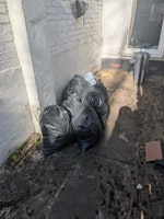 Bagged leaves/twigs/some soil collected by Wanitgone Waste Clearence