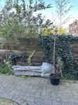 2 bags of old fence & dead tre 2 bags old fence and a dead tree N7 - removed for £29