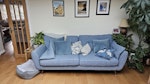 sofa to dispose of sofa to dispose of 2.2 metres by 90cm. easy access straight theougg double doors onto drive CV47 - removed for £104