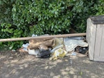 old carpet & underlay Old carpet & underlay & 1 cardboard tube NP20 - removed for £169