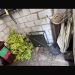 garden items I have a parasol base and umbrella, a small table, a plant potter, and balcony plastic ivy SE16 - removed for £57