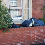 103 BAGS OF EXPANDING FOAM 103 BAGS OF EXPANDING FOAM, VERY LIGHT BUT HAVE VOLUME TO THEM. SOME ARE INDOORS DOWNSTAIRS. NP19 - removed for £250