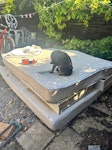 2 king mattress + 4 u/bed draw Two king mattresses plus four under bed storage drawers. Already in back garden . Access thru garden back door. Can park very close to the door. No stairs. GL53 - removed for £156