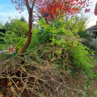 Garden waste collected by AJD man and van