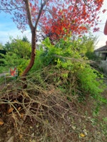 Garden waste collected by AJD man and van