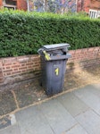 rubbish empty rubbish bin NW3 - removed for £71