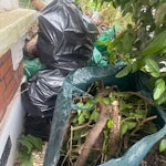 15 bags of garden waste There are 15 bags of garden waste plus a few small logs - bags are medium sized and full SW12 - removed for £123